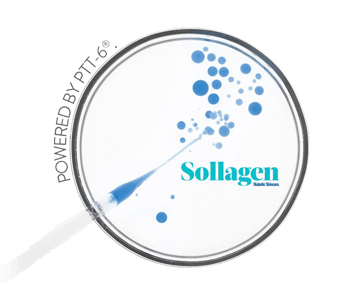 Sollagen - Powered by PTT-6